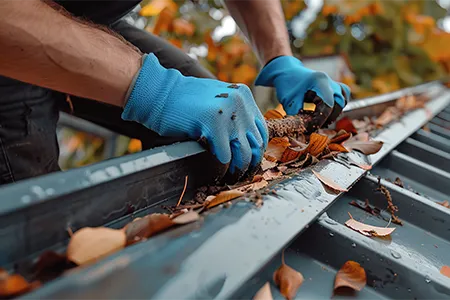 Services for Cleaning Gutters